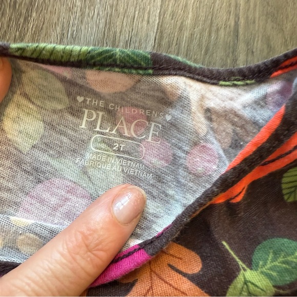 🍂 Children’s Place Fall Harvest Dress – Size 2T - Picture 3 of 4